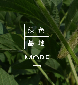 苏州金记食品