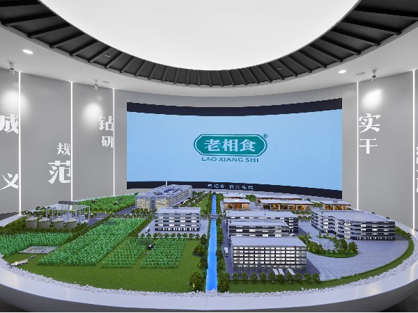 【寻味千年豆香，探秘文化瑰宝】老相食豆腐文化博物馆：开启一场大豆的奇幻之旅
