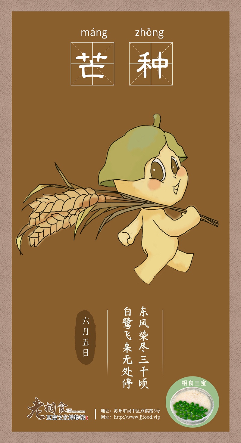 芒种