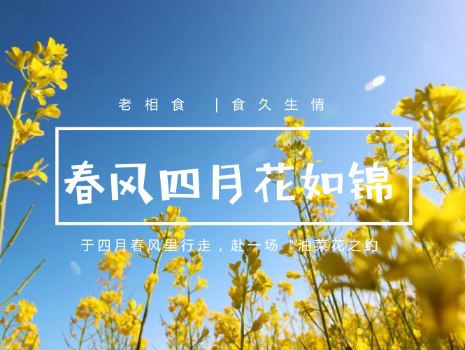 老相食公益 | 于四月春风里行走，赴一场“油菜花之约”