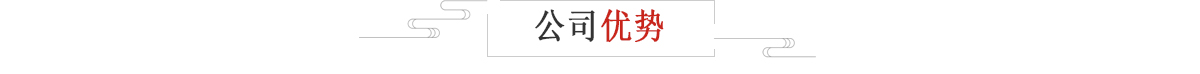 公司优势