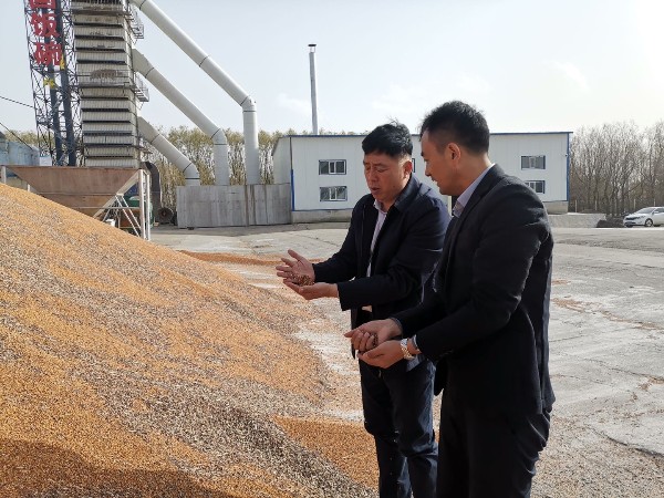 金记食品考察东北大豆种植基地